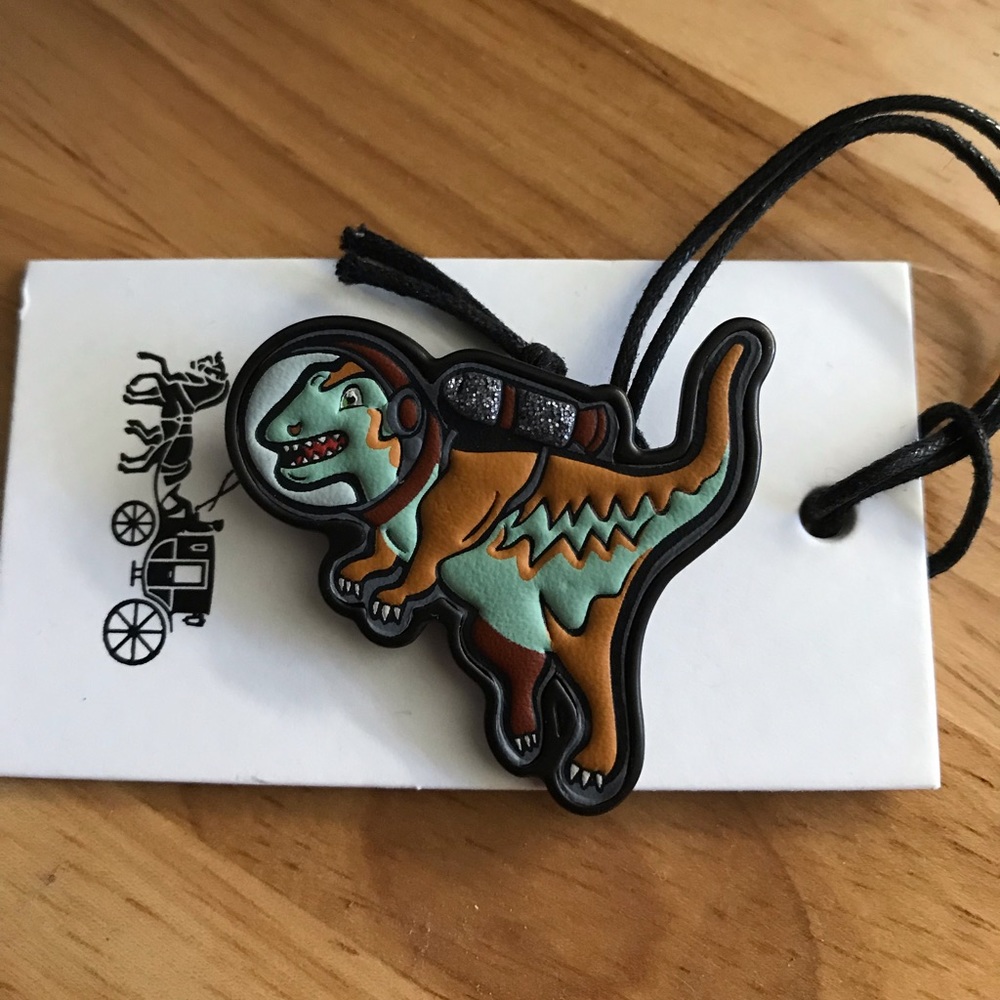 Coach Rexy NASA Pin